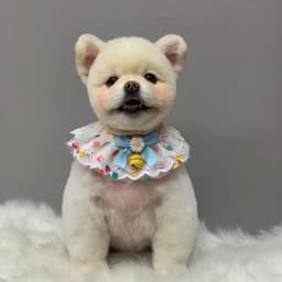 염규완의 프로필 이미지